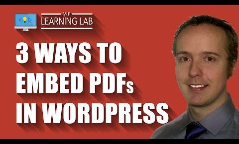 3 Ways To Embed A PDF On WordPress Posts And Pages