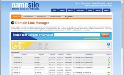 NameSIlo DomainLink Tutorial