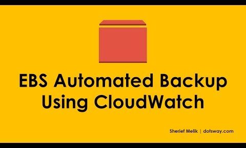 AWS EBS Tutorial : Create EBS Automated Backup