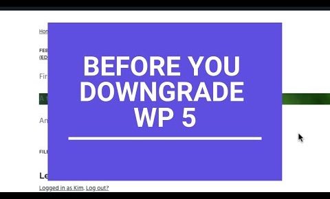 Things to be aware of before you downgrade WordPress 5 to version 4.9.9