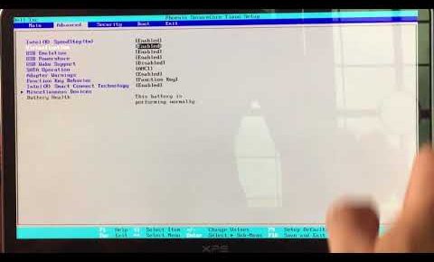 dell xps 13 | How to enable Virtualization on BIOS.