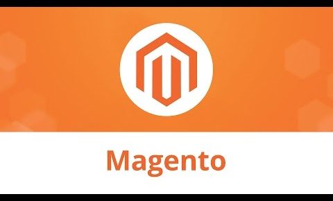 Magento. How To Fix Customer Login Issue