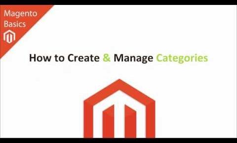 Magento Basics – How to Create and Manage Categories