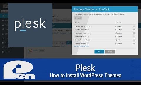 How to install WordPress Themes with the WordPress Toolkit – Plesk