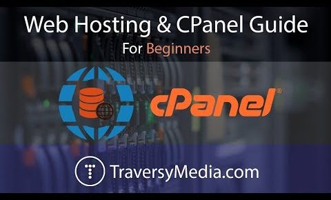 Web Hosting & CPanel Guide – How To Easily Upload Your Website