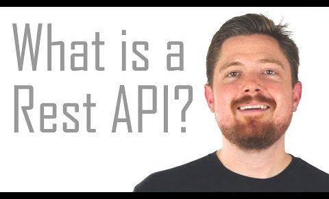 REST API concepts and examples