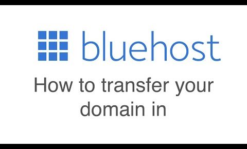 How to transfer a domain in to Bluehost