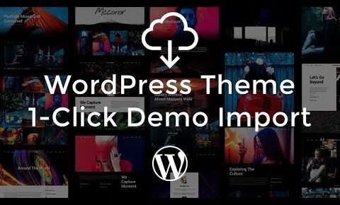 WordPress Theme 1-Click Demo Import Explained