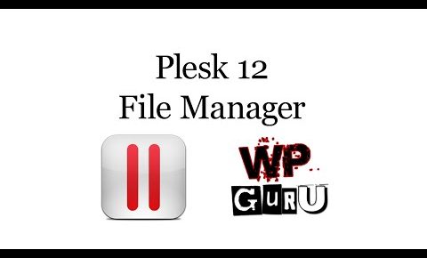 Using the File Manager in Plesk 12