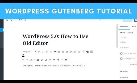 WordPress Gutenberg Tutorial: How to Use Old Editor