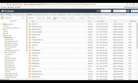 cPanel Tutorials: File Manager