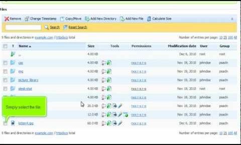 Plesk 10 tutorial: File Manager