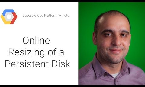 Online Resizing of a Persistent Disk attached to your Linux VM