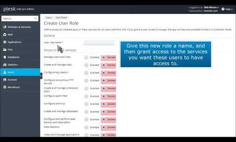 How to create and manage user roles in Plesk