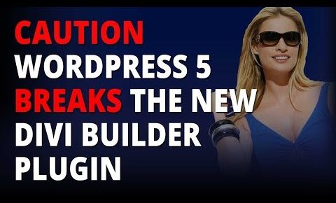 Caution WordPress 5 Breaks The New Divi Builder Plugin