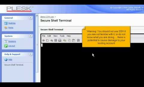 How to use an SSH terminal in Plesk