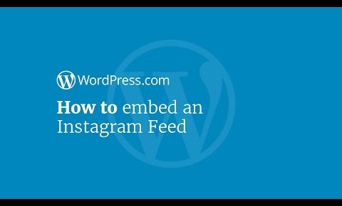 WordPress Tutorial: How to Display Your Instagram Feed on Your Website