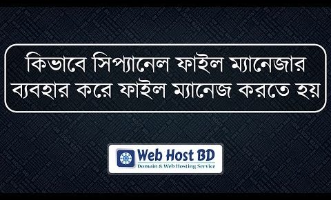 cPanel File Manager Basic Bangla Tutorial | Web Host BD | Bangla Tutorial