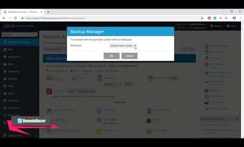 Enable Automatic Backups in Plesk Control Panel : DomainRacer